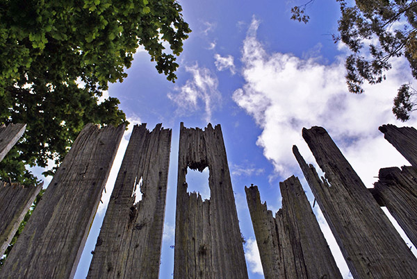 Broken Wood Fence